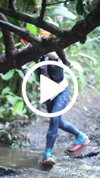 BIB:  <button type="button" onclick="openModal(27808915)" class="btn btn-primary btn-sm float-right" data-toggle="modal" data-target=".modal-high-quality">
                <i class="fa fa-download"></i> Download
                </button>